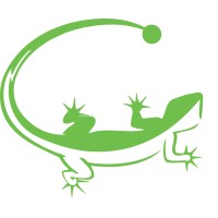 Lizard Monitoring logo, Lizard Monitoring contact details