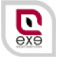 exe - expert executives logo, exe - expert executives contact details