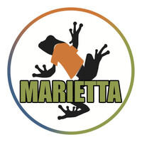 Big Frog Custom T-Shirts of Marietta logo, Big Frog Custom T-Shirts of Marietta contact details