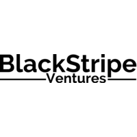 BlackStripe Ventures logo, BlackStripe Ventures contact details