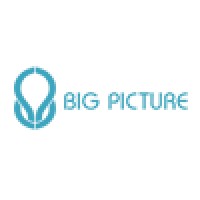 Big Picture Digital logo, Big Picture Digital contact details