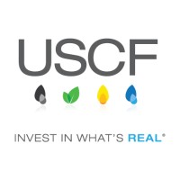 USCF logo, USCF contact details