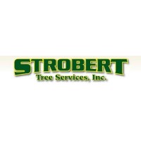 Strobert Tree Services, Inc. logo, Strobert Tree Services, Inc. contact details