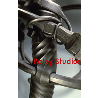 Paley Studios logo, Paley Studios contact details