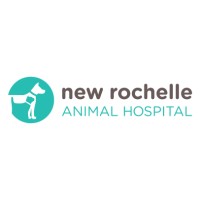 New Rochelle Animal Hospital logo, New Rochelle Animal Hospital contact details