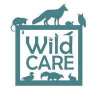 WildCare Inc logo, WildCare Inc contact details