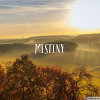 Mestiny logo, Mestiny contact details