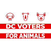 DC Voters for Animals logo, DC Voters for Animals contact details