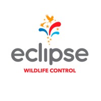 Eclipse Wildlife Control logo, Eclipse Wildlife Control contact details