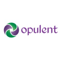 Opulent Infotech Private Limited logo, Opulent Infotech Private Limited contact details