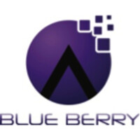 Blue Berry e-Services Private Limited logo, Blue Berry e-Services Private Limited contact details