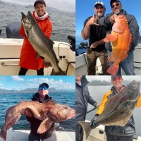 Reel Alaska Fishing Charters logo, Reel Alaska Fishing Charters contact details