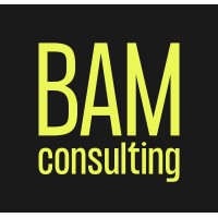 BAM Consulting logo, BAM Consulting contact details