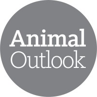 Animal Outlook logo, Animal Outlook contact details