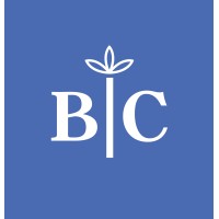 BC CPA & Consulting logo, BC CPA & Consulting contact details