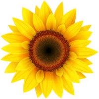 Sunflower Industries logo, Sunflower Industries contact details