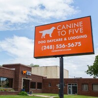 Canine To Five logo, Canine To Five contact details