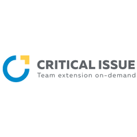 Critical Issue logo, Critical Issue contact details