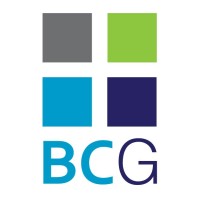 Brauer Consulting Group logo, Brauer Consulting Group contact details