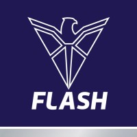 Flash Electronics (India) Pvt. Ltd. logo, Flash Electronics (India) Pvt. Ltd. contact details