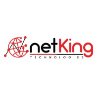 Netking Web Services Pvt. Ltd logo, Netking Web Services Pvt. Ltd contact details