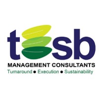 TESB Management Consultants logo, TESB Management Consultants contact details