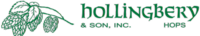 HOLLINGBERY & SON INC. logo, HOLLINGBERY & SON INC. contact details