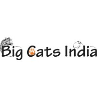 Big Cats India logo, Big Cats India contact details