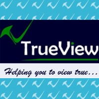 TrueView HR Consulting logo, TrueView HR Consulting contact details