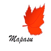 Mapasu Consulting Services logo, Mapasu Consulting Services contact details