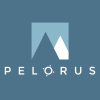 Pelorus Consulting logo, Pelorus Consulting contact details