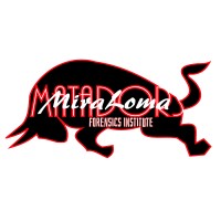 Matador Debate Institute logo, Matador Debate Institute contact details