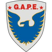 GAPE Terceirização Especializada logo, GAPE Terceirização Especializada contact details