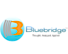 Bluebridge Software Pvt.Ltd logo, Bluebridge Software Pvt.Ltd contact details