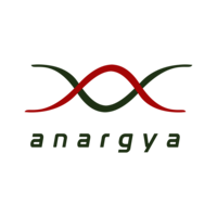 ANARGYA ITS Team Electric Formula logo, ANARGYA ITS Team Electric Formula contact details