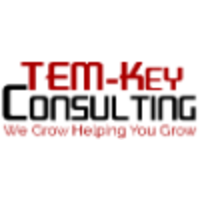 Temkey Consulting logo, Temkey Consulting contact details