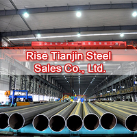 Rise Tianjin Steel Sales Co., Ltd logo, Rise Tianjin Steel Sales Co., Ltd contact details