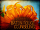 Baton Rouge Counseling logo, Baton Rouge Counseling contact details