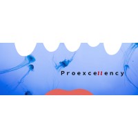 Proexcellency solutions pvt ltd logo, Proexcellency solutions pvt ltd contact details