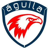 Aguila Consulting logo, Aguila Consulting contact details