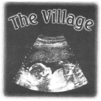 The Village Consulting LLC logo, The Village Consulting LLC contact details