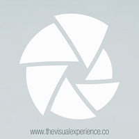 The Visual Experience logo, The Visual Experience contact details