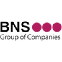 BNS Group of Companies logo, BNS Group of Companies contact details