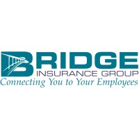 Bridge Insurance Group logo, Bridge Insurance Group contact details