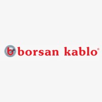 Borsan A.S logo, Borsan A.S contact details