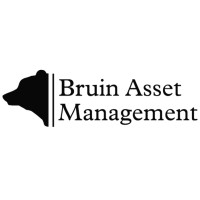 Bruin Asset Management logo, Bruin Asset Management contact details