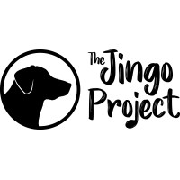 The Jingo Project logo, The Jingo Project contact details