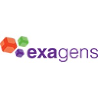 exagens logo, exagens contact details