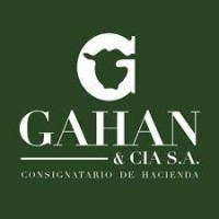 Gahan y cia logo, Gahan y cia contact details