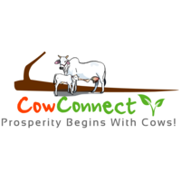 CowConnect Foundation logo, CowConnect Foundation contact details